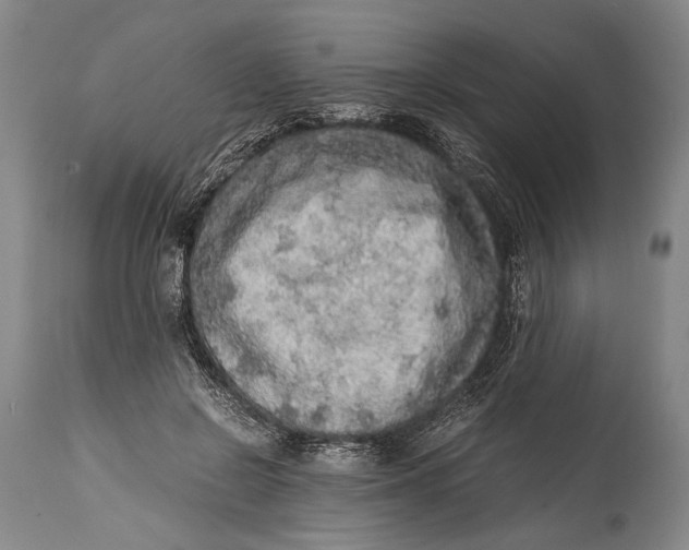 X0000114680550200911121458