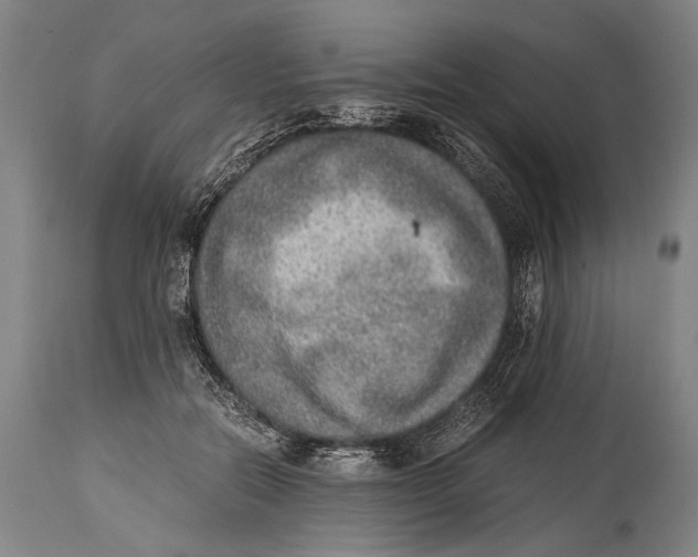 X0000114680554200911121458