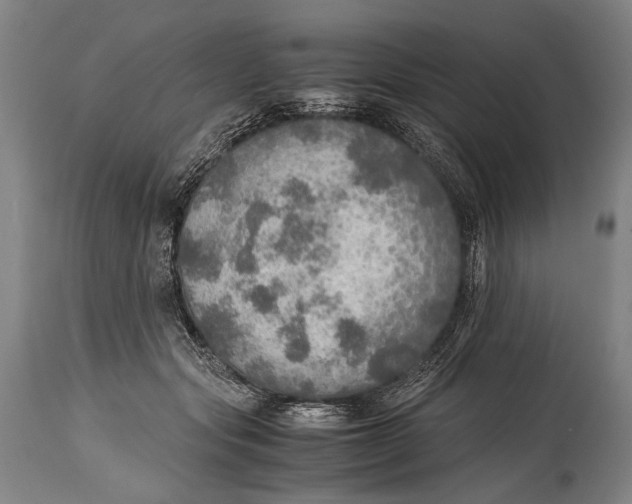 X0000114680557200911121458