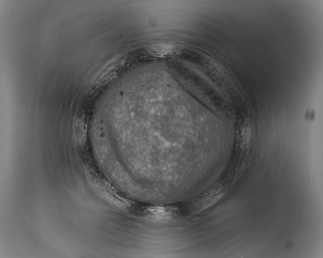 X0000114680558200911121458