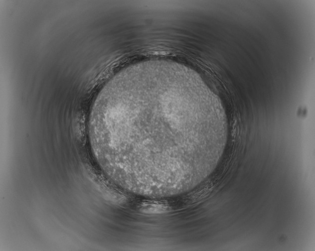 X0000114680559200911121459
