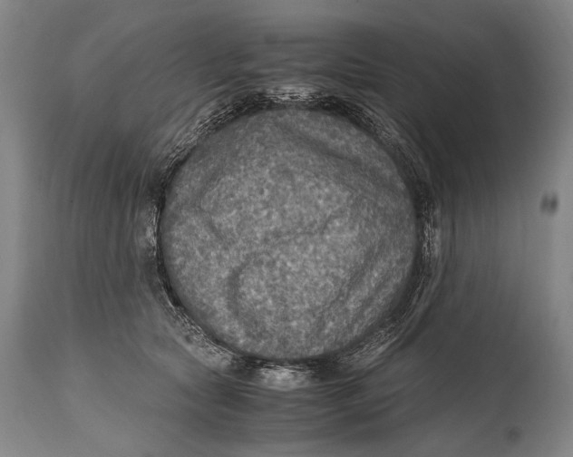 X0000114680561200911121459