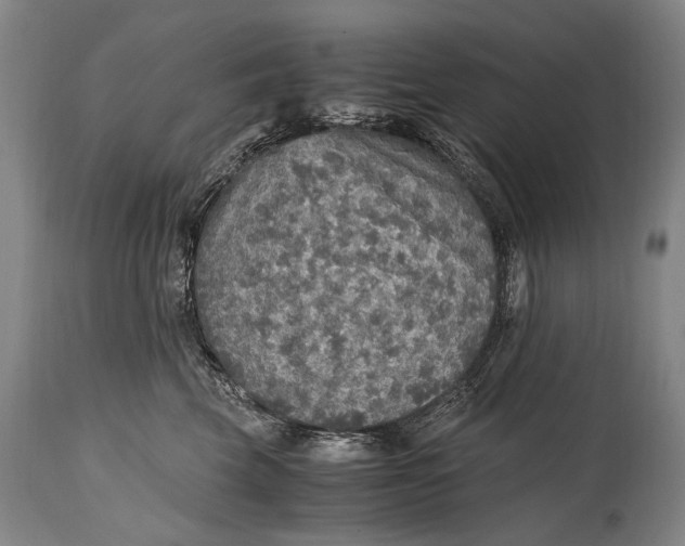 X0000114680569200911121459