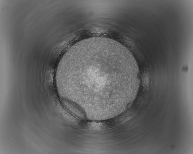 X0000114680570200911121459