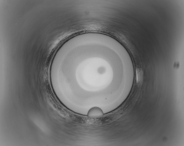 X0000114680579200911121458