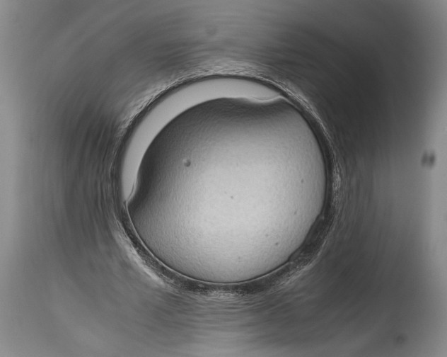 X0000114680581200911121458