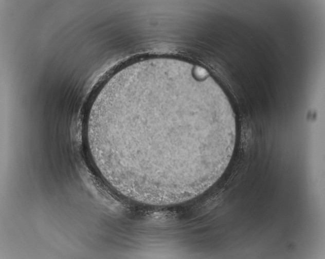X0000114680584200911121458