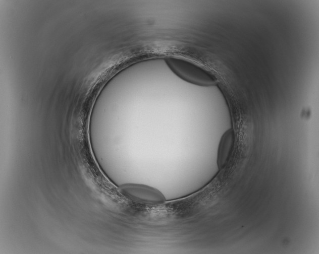 X0000114680587200911121458
