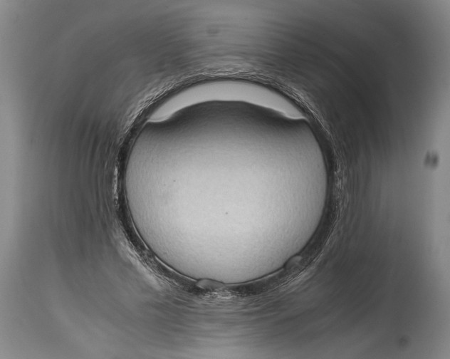 X0000114680589200911121458