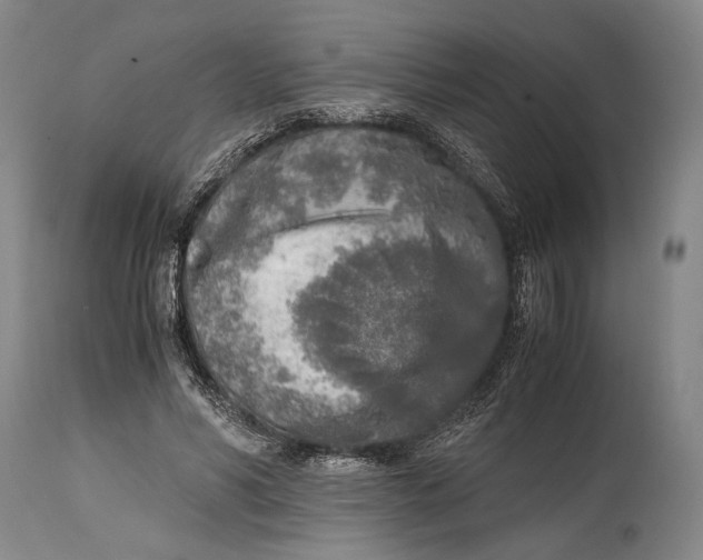 X0000114680590200911121458