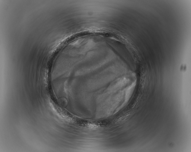 X0000114680592200911121458