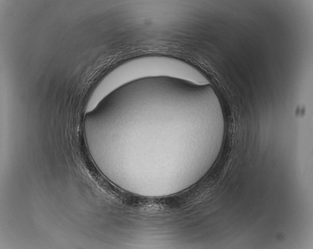 X0000114680593200911121458