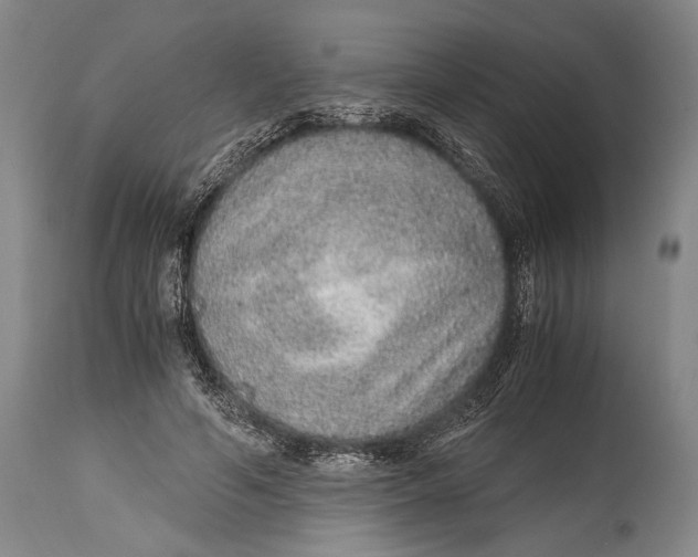 X0000114680594200911121458