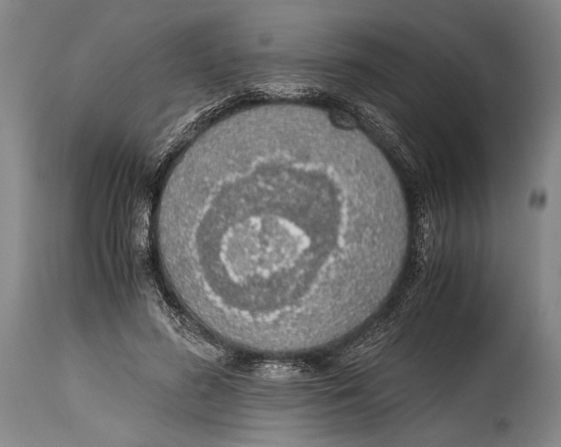 X0000114680596200911121458