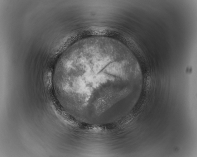 X0000114680598200911121458
