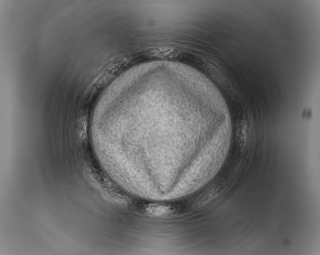 X0000114680602200911121458