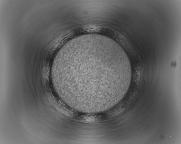 X0000114680604200911121458