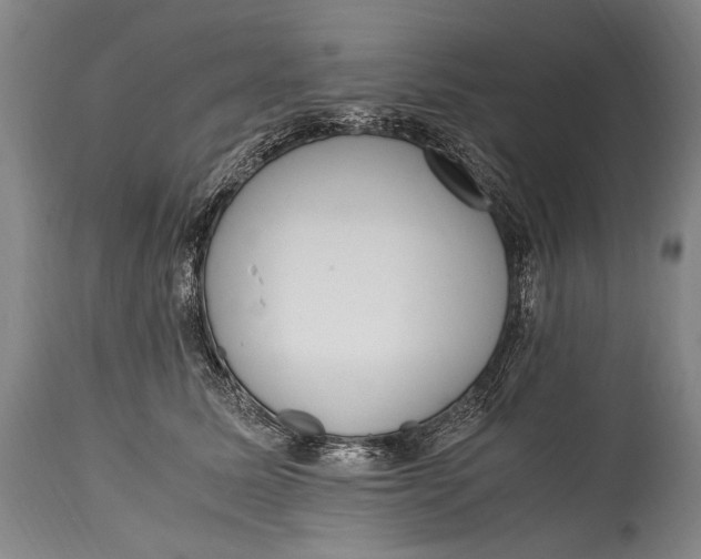 X0000114680611200911121458