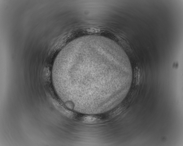 X0000114680614200911121458