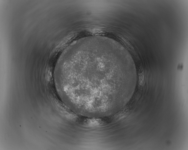 X0000114680618200911121458