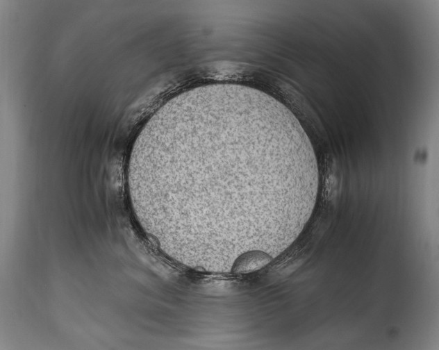 X0000114680620200911121457