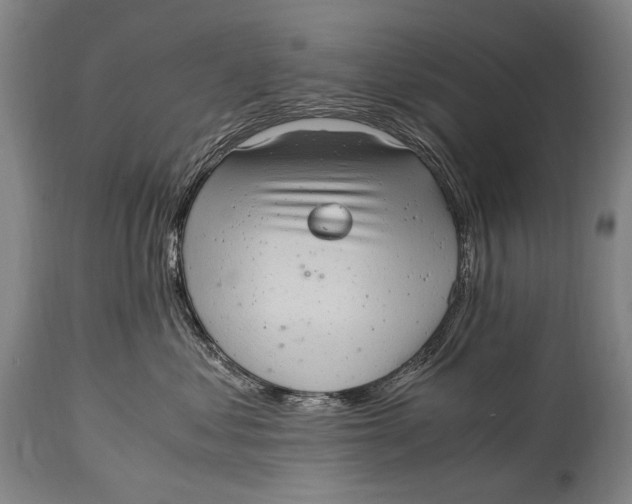 X0000114680621200911121457