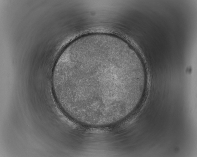 X0000114680625200911121457