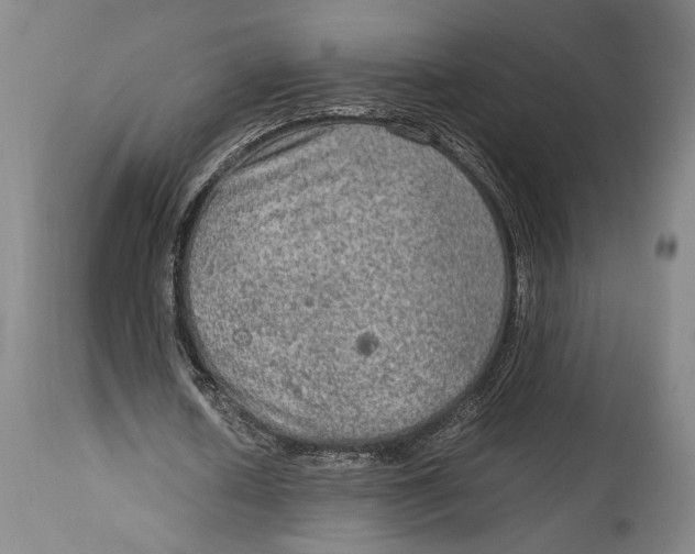 X0000114680626200911121457