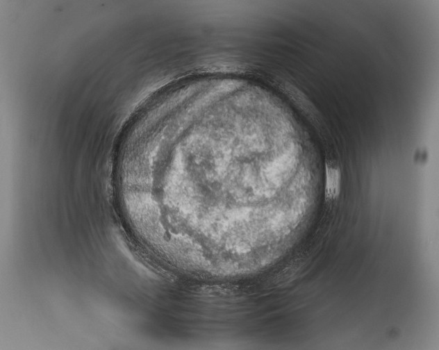 X0000114680627200911121457