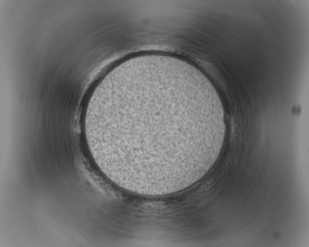 X0000114680628200911121457