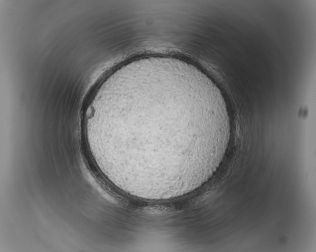X0000114680630200911121457