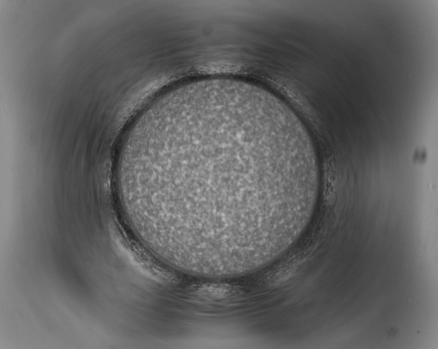 X0000114680631200911121457