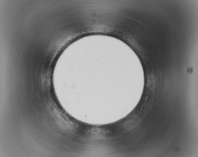 X0000114680632200911121457