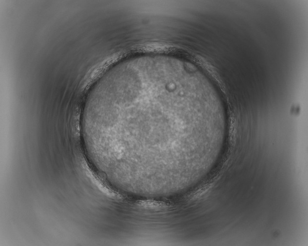 X0000114680633200911121457