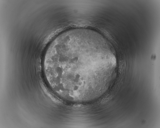 X0000114680634200911121457