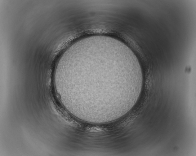 X0000114680635200911121457