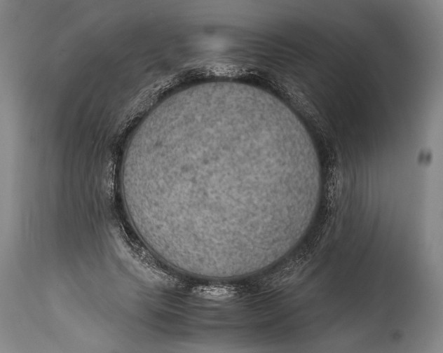 X0000114680639200911121457