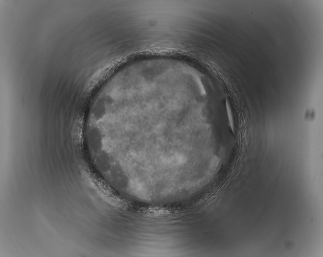 X0000114680640200911121457