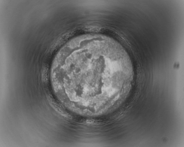 X0000114680641200911121457