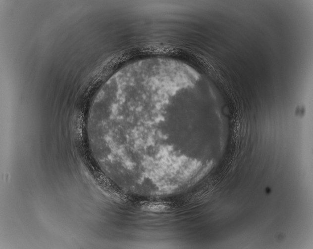 X0000114680643200911121457