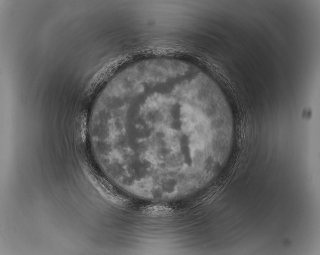 X0000114680644200911121457