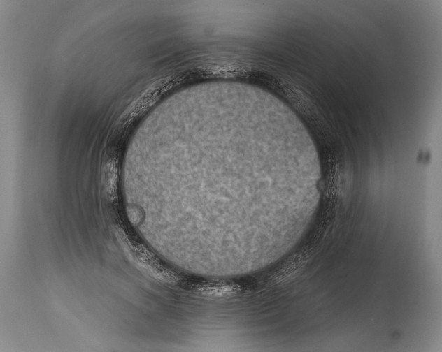 X0000114680646200911121457