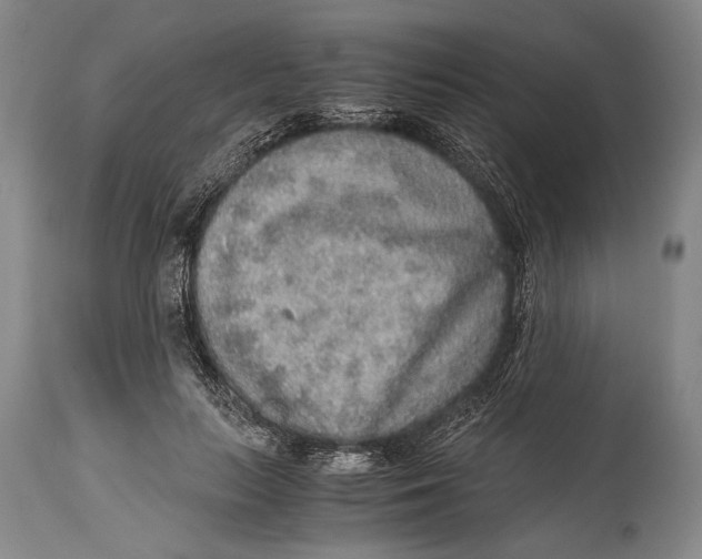 X0000114680647200911121457