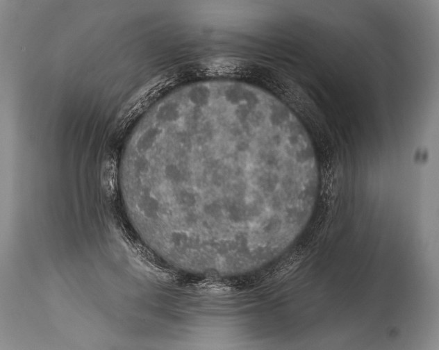 X0000114680648200911121457
