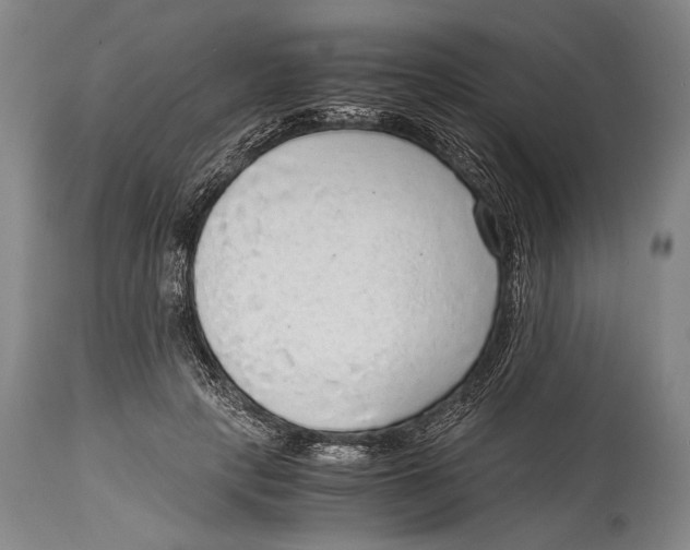 X0000114680649200911121457