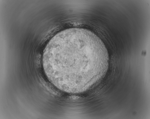 X0000114680650200911121457