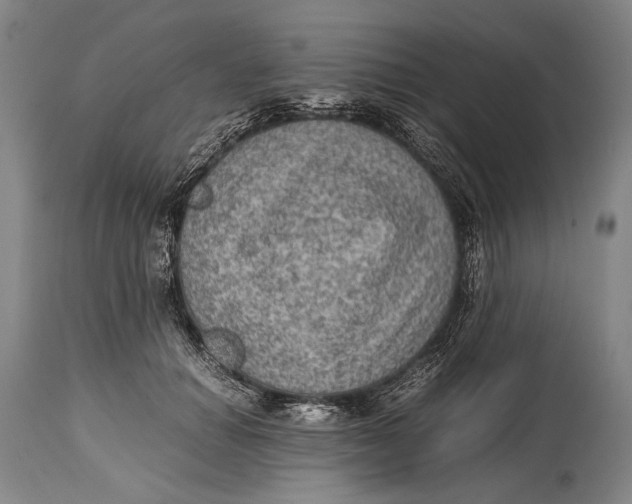 X0000114680654200911121457