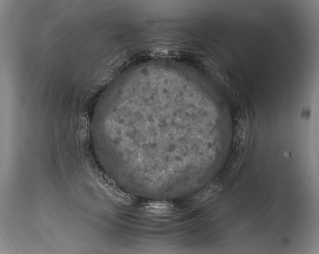 X0000114680659200911121457