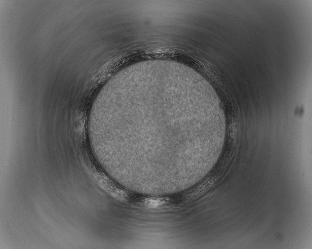 X0000114680662200911121457