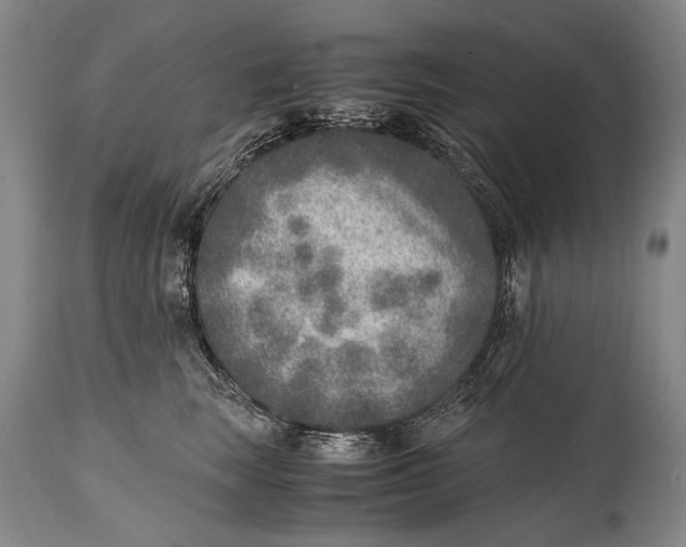 X0000114680663200911121457